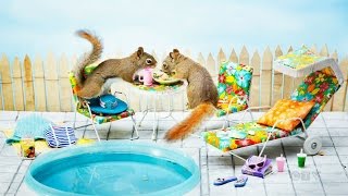 Squirrel snapshots: From pet project to publishing career