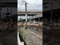 jr東海373系特急富士川号f11編成［静岡発甲府行き］国吉田踏み切り通過撮影！2024.10.28