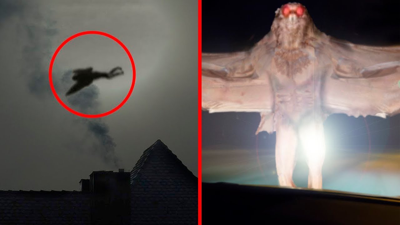 The Strangest Creatures Ever Discovered Go It