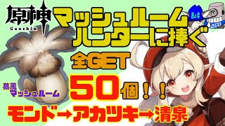 【慕風のマッシュルーム】50個GET！モンドのマッシュルーム大量採取コース＊原神＊素材集めコース紹介