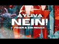 ayliva nein feier u0026 eis remix