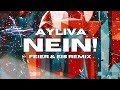 ayliva nein feier u0026 eis remix