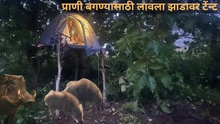 भयानक जंगलात प्राणी बगण्यासाठी लावला झाडावरती टेन्ट ⛺️|Full Night camping