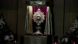 11:00am Holy Hour: Holy Rosary and Divine Mercy Chaplet