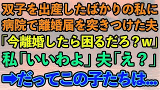 【スカッとする話】双子を出産したばかりの私に病院で離婚届を突きつけた夫「子供産んだからって偉そうにしたら即離婚な！離婚したら困るだろ？w」私「いいわよ」夫「え？」喜んで役所へ、だってこの子は...