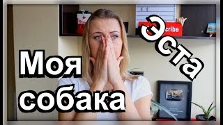 МОЯ ПЕРВАЯ СОБАКА//САМОЕ СЛЁЗНОЕ ВИДЕО//ХОЧУ ЛИ Я СОБАКУ?