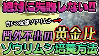 【メダカ等の観賞魚に】これが門外不出の黄金比！？絶対に失敗しないゾウリムシの簡単培養方法