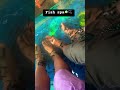 Fish spa in Goa🐠🫧 #fishspa #goa #shorts #couple #youtubeshorts #shortvideo #shortsfeed #kt #love