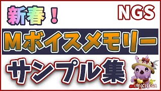 新春！Mボイスメモリーサンプル集【PSO2NGS】