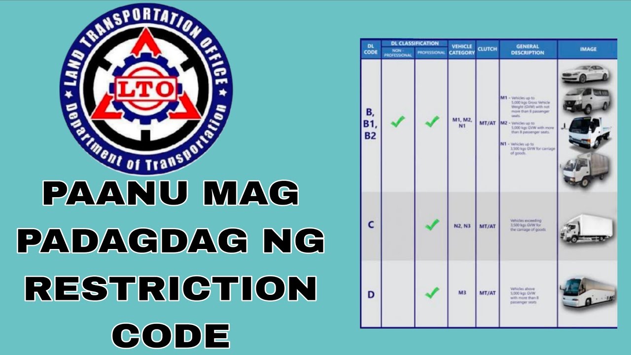 Additional Restriction Code Drivers License 2022 59 Off