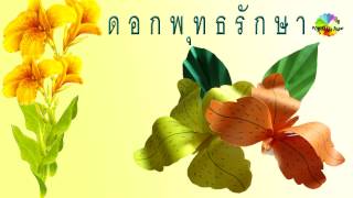 สอนพับ ดอกพุทธรักษา ติดบอร์ดวันพ่อ「 Poy Make Paper」