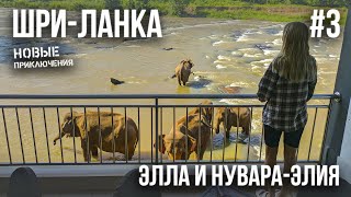 ШРИ-ЛАНКА 2023 #3. НУВАРА-ЭЛИЯ. БРИТАНСКАЯ ПОЧТА. ДОРОГА В ЭЛЛУ. ВОДОПАДЫ. КАФЕ. ОТЕЛЬMISTY VILLAS