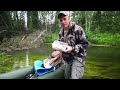 a huge fish. they rarely get caught. fishing in the wild taiga.