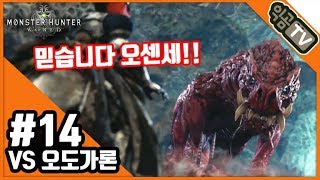 『익곰』 믿습니다 오도가론 선생님!! 제발 수레!! / #14_vs오도가론 - MHW