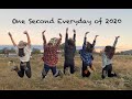 One Second Everyday of 2020