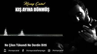 Koray Çatal Kış Ayına Dönmüş