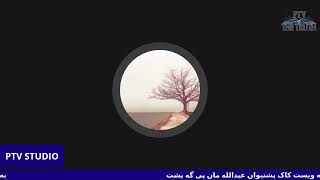 پرسه ی کوچی دوایی باوکی به ریز د. پشتیوان عبدالله