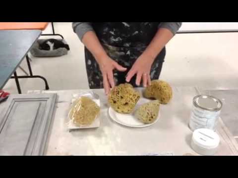 How to choose and clean a Sea Sponge How to choose and clean a Sea Sponge