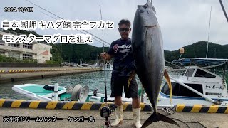 串本 潮岬 キハダ鮪 フカセ釣り 串モンを狙え　#fishing #yellowfintuna #キハダマグロ