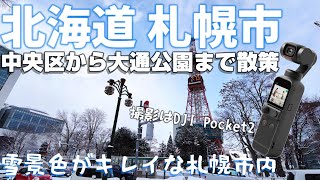 北海道 札幌 中央区から大通公園まで散歩 「雪景色がキレイな札幌市内」