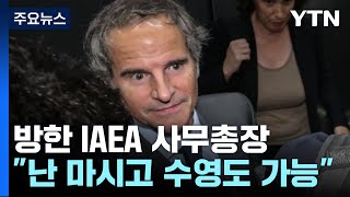 IAEA 사무총장 \