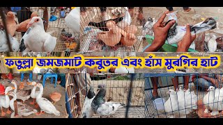 ফতুল্লা জমজমাট কবুতর এবং হাঁস মুরগির হাট। pigeon market fatullah