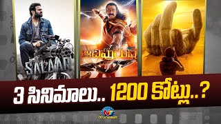 3 సినిమాలు.. 1200 కోట్లు..? | Nagarjuna | Box Office | NTV ENT