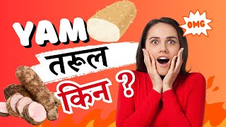 तरुल खानु स्वस्थ्यको लागि कति फाईदा छ ? Benefits of Tarul for Health || YAM Why