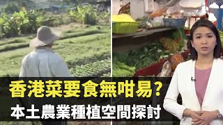 新聞透視 -香港菜要食無咁易? 香港農業種植空間探討 -  香港新聞 - TVB News－陳嘉欣