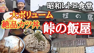 【長距離トラック】【昭和レトロ食堂】峠の飯屋で絶品カツ丼＆ざるそばを爆食！【杉の屋長野県】夜限定豚丼横川SA【Japanese food】