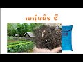 មេរៀនទី១ ជី ចំណុចទី១. និយមន័យ ២. ប្រភេទផ្សេងៗនៃជី