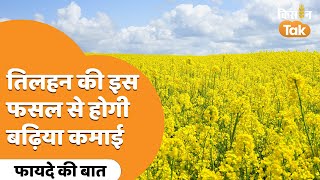 Integrated Farming System: तिलहन की इस फसल से होगी मोटी कमाई, यहां जानें  | Kisan Tak