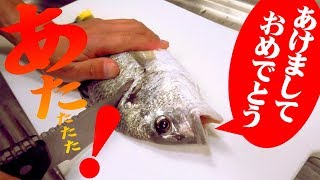 K汽水域のK臭いKキチヌを釣ってK食う! 健啖隊は4Kです!