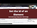 Set the id of an Element (Basic CSS) freeCodeCamp tutorial