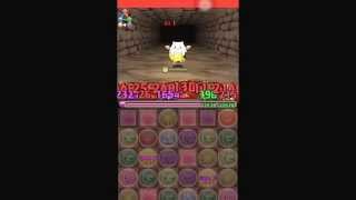 パズドラ【公式生放送プレゼント1】 適当PT