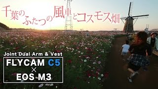 【あけぼの山農業公園 / 佐倉ふるさと広場】【FLYCAM C5 with Arm \u0026 Vest】 ふたつの風車とコスモス畑 【EOS M3】【スタビライザー】