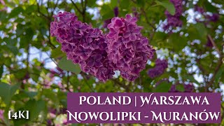 Experience the beauty of Warsaw: From Nowolipki to Muranów