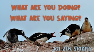 [Zen Flesh Zen Bones] #67 - What Are You Doing! What Are You Saying!