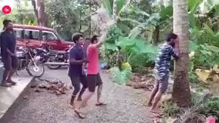 നമ്മളും  ഒരു പാട്  \