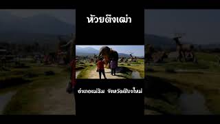 ห้วยตึงเฒ่า🌄มีคิงคองยักษ์🦍ให้ดู 1นาทีกับ ป๋าเล็ก ถนัดซอย🕴️