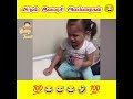 எவன்டா அது பலூன அங்க ஒட்டி வச்சது 😂 comedyvideo comedy dog fun shots tamil comedyshorts troll