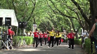 華咲舞楽さん（Ⅰ）2012　あげお元気祭り