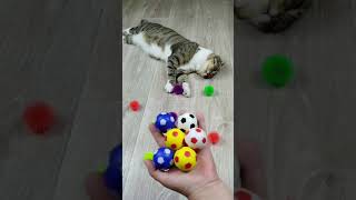 Funny Cat Barsik 🖍🟨🔴 Beads Domino Reverse Video ASMR