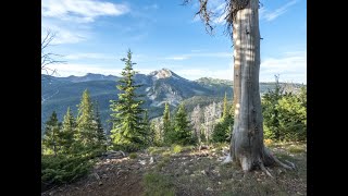 Lots of Grizzly Bears on the Oil Well and Little Wapiti Loop Trail - Yellowstone Ecosystem