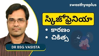 స్కిజోఫ్రెనియా కారణం ఏమిటి? | Schizophrenia in Telugu | Dr BSG Vasista