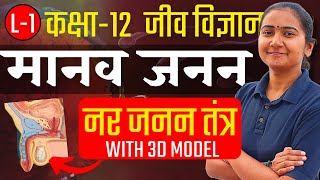 L-1, नर जनन तंत्र With 3D Model | अध्याय-2, मानव जनन | Human Reproduction | Class-12th Biology