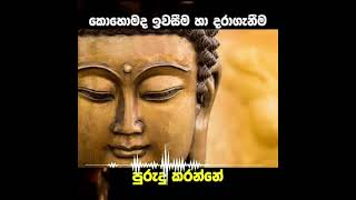 කොහොමද ඉවසීම හා දරාගැනීම පුරුදු කරන්නේ…