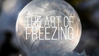 The Art of Freezing