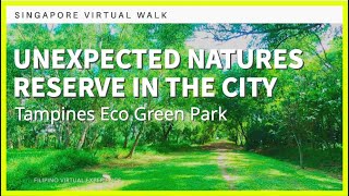 SINGAPORE VIRTUAL TOUR | TAMPINES ECO GREEN PARK | VIRTUAL WALK  | FILIPINO | FILIPINO IN SINGAPORE