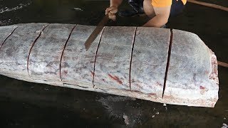 660lb /$10000 Giant black marlin cutting